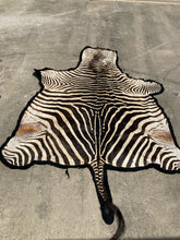 Authentic Namibian Hartmann's Mountain Zebra Hide Rug 74" x 116"