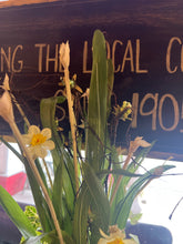 Floral Arrangement