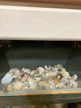 Antique Fish Box Coffee Table w/ Glass Top