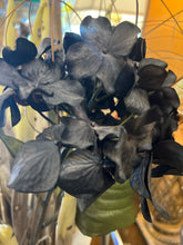 Faux Cactus in white Vase