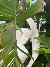 Statue