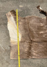 Natural South African Blesbok Hide Back Skin 38" x 57"