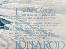 Jon Van Zyle Signed Iditarod Alaska Dog Sled Race Print, Framed - view 6