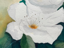 Artist Signed Original Hibiscus Flower Watercolor Painting