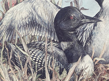 Doung Lindstrand Signed Limited Edition "Common Loons" Print