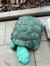 Concrete tortoise