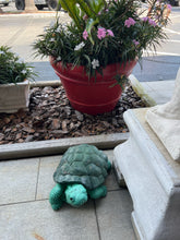 Concrete tortoise