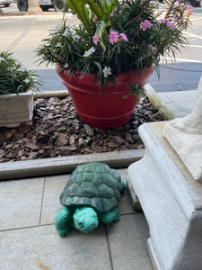 Concrete tortoise