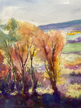 Original Diane Vulcan Signed Mountain Landscape Watercolor Painting - view 5