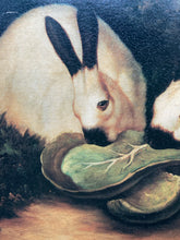 P.Rolence "Himalayan Rabbits" Framed Canvas Art Print 26x29"