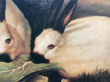 P.Rolence "Himalayan Rabbits" Framed Canvas Art Print 26x29"