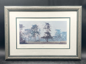 David Knowlton Signed "Misty Grove" Limited Edition Art Print, Framed