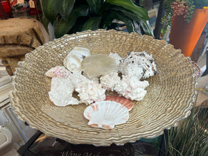 Shells in Gold Bowl