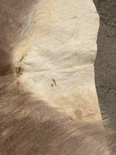 Natural South African Blesbok Hide Back Skin 38" x 57"