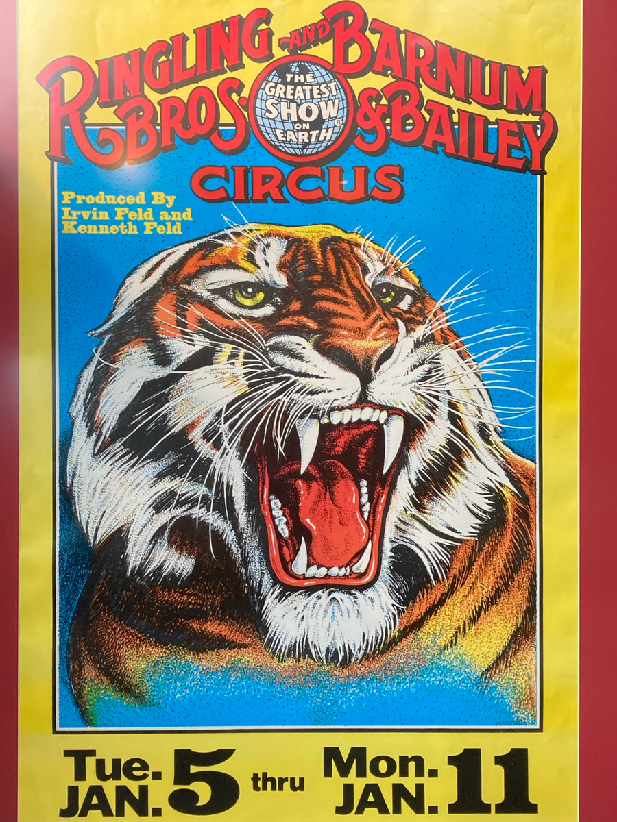 Framed Vintage Ringling Bros And Barnum & Bailey Tiger | Dunn's