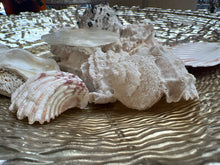 Shells in Gold Bowl