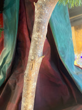 Lifesize Santa With Lantern