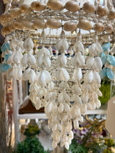 Hanging Shell Plant holder