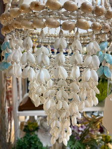 Hanging Shell Plant holder