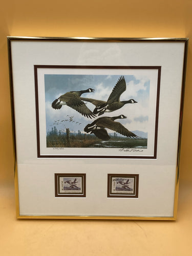 Framed 1984 Oregon Duck Stamps & Print By Michael Sieve