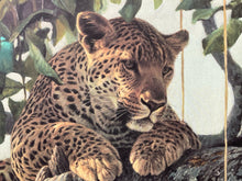Robert Bateman Signed "Lepoard In A Sausage Tree" Limited Edition Lithograph