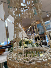 Hanging Shell Plant holder
