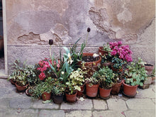 Nancy Ross-Ruddick Signed "Visiting #4 Montepulciano Italy" Photograph