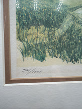 Jon Haber "Rake" Signed & Numbered Framed Farm Print