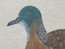 Vintage K.M. Foster Signed Autumn Season Birds Painting - view 4