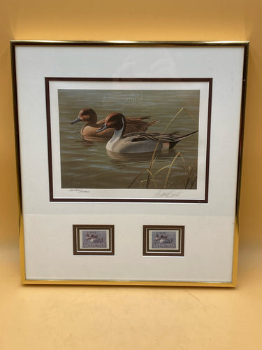 Framed 1987 Arizona Duck Stamps & Print By Daniel Smith