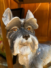 Large Italian Ceramic Grey Schnauzer (several small chips)