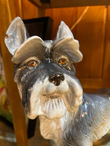 Large Italian Ceramic Grey Schnauzer (several small chips)