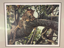 "Leopard In A Sausage Tree" Robert Bateman Print 172/950