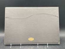 Framed 14x21" Kuna Tribe Mola Embroidery