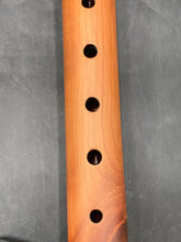 Hawk Littlejohn Signed Handmade Native American Woodsong Flute w/ Booklet