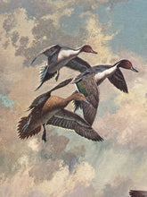 Vintage Harry C. Adamson Signed Limited Edition Mallard Duck Framed Print