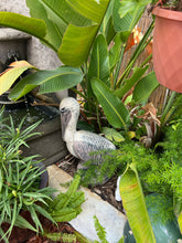 Statue