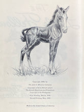 The Little Fellow | Marguerite Henry w/ Illustrations by Diane Thorne (1945, The John C. Winston Company)