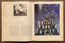 The Library of Great Painters: Salvador Dali | Robert Descharnes (1976, Harry N. Abrams, Inc.)