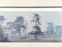 David Knowlton Signed "Misty Grove" Limited Edition Art Print, Framed