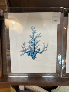 Coral Print in Glass