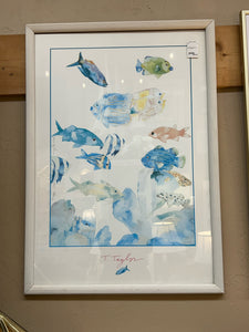 Tracy Taylor Framed Fish Print "Traffic Jam"