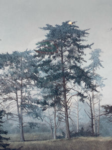 David Knowlton Signed "Misty Grove" Limited Edition Art Print, Framed