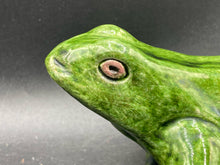 Antique Bavent Pottery Majolica Terracotta Frog Filmont - view 2