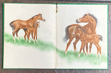 The Little Fellow | Marguerite Henry w/ Illustrations by Diane Thorne (1945, The John C. Winston Company)