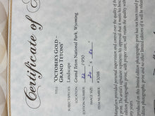 Signed Limited Edition Thomas Mangelsen "October's Gold - Grand Tetons" Print