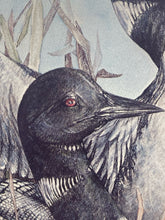 Doung Lindstrand Signed Limited Edition "Common Loons" Print
