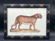 Karl Joseph Brdotmann Panther Framed Reproduction Art Print