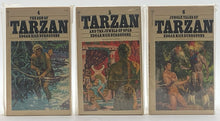 Tarzan 24-Volume Set | Edgar Rice Burroughs (1975, Ballantine Books Authorized Edition)