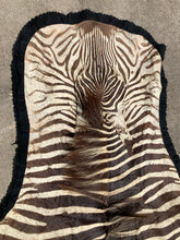 Authentic Namibian Hartmann's Mountain Zebra Hide Rug 74" x 116"